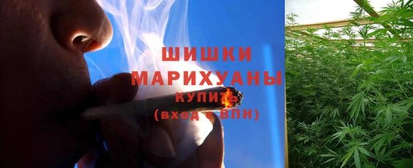 МДПВ Каменка