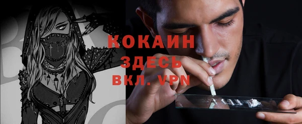 МДПВ Каменка