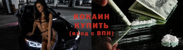 МДПВ Каменка