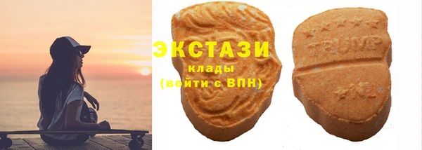 МДПВ Каменка