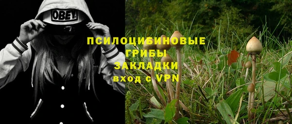 эйфоретик Каменск-Шахтинский