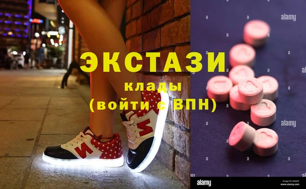 МДПВ Каменка
