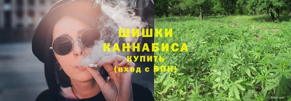 МДПВ Каменка