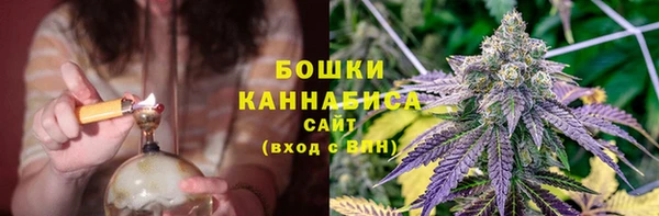 МДПВ Каменка