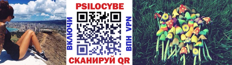 Купить  Мамадыш  Галлюциногенные грибы Cubensis 